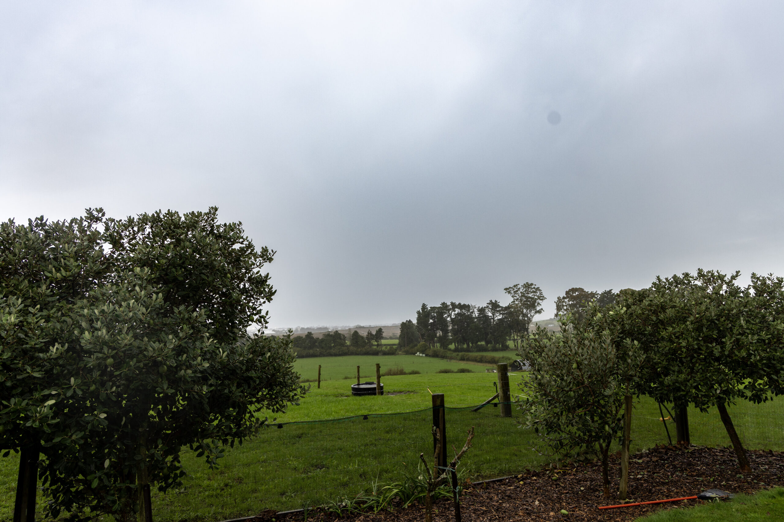 1. Rural View